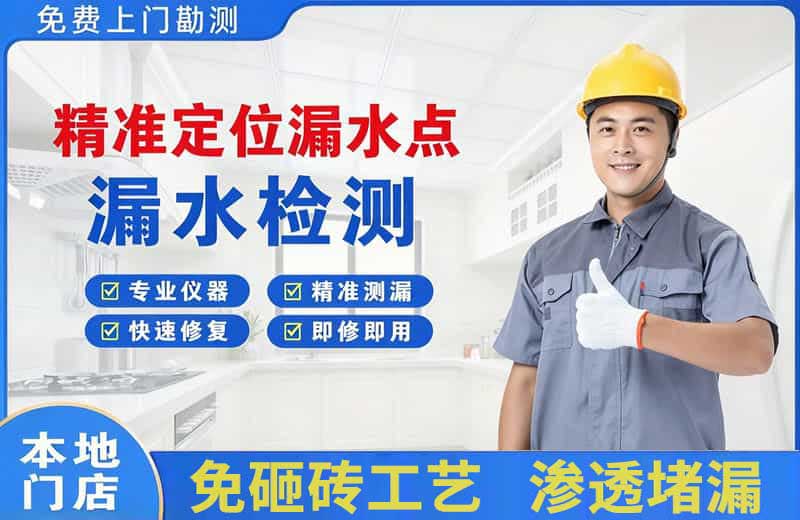 安达精准测漏点